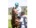  Carrera: P.Valderas Monta: V.Janacek Caballo: Octans